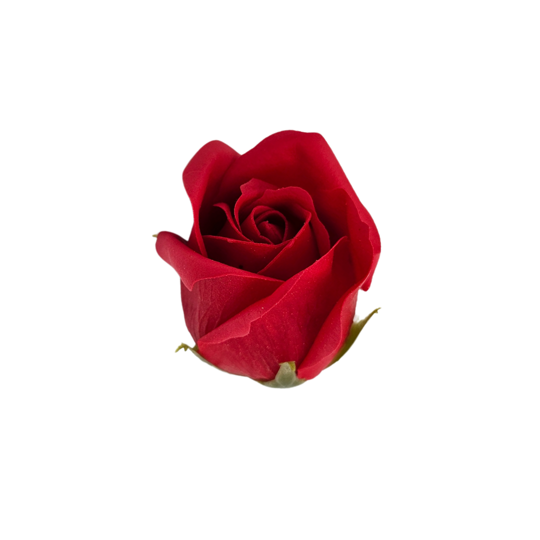 NEW: Fun Gift: Engraved Box, Soap Roses ๐๐น